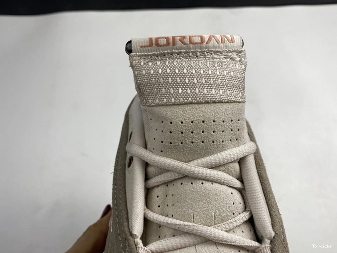 Rep TBK Clot Blush Low Jordan Retro AIR Terra 14 DC9857-200 0731